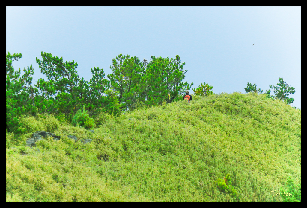 IMG_8647.jpg - 20151017 郡大林道、望鄉山、郡大山