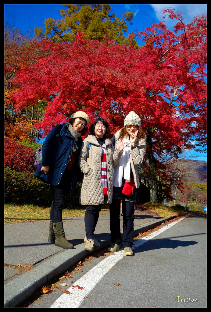 DSC00272.jpg - 20151031 秋天的童話-貴婦東京輕井澤紀行