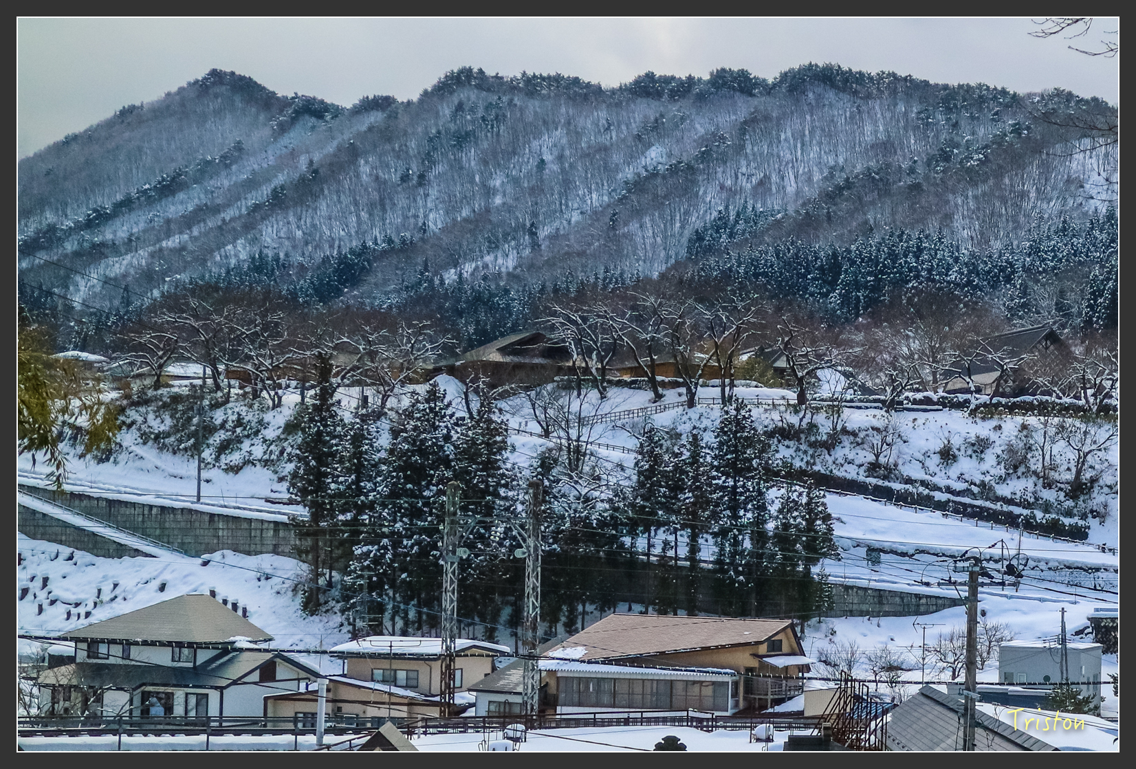 2016ZAO-00625.jpg - 20160131 日本藏王溫泉滑雪親子行