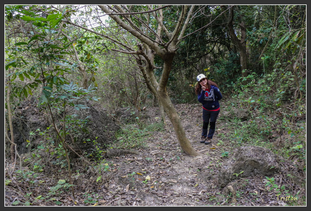 IMG_3185.jpg - 20160220 小崗山健行步道