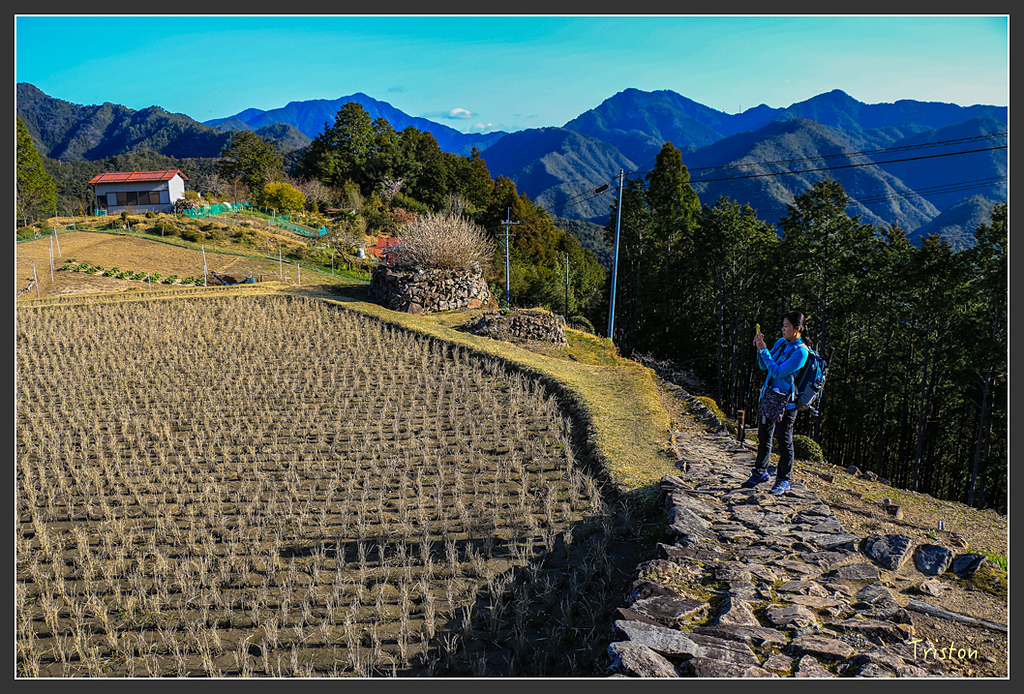 IMG_4646.jpg - 20160323 日本熊野古道健行