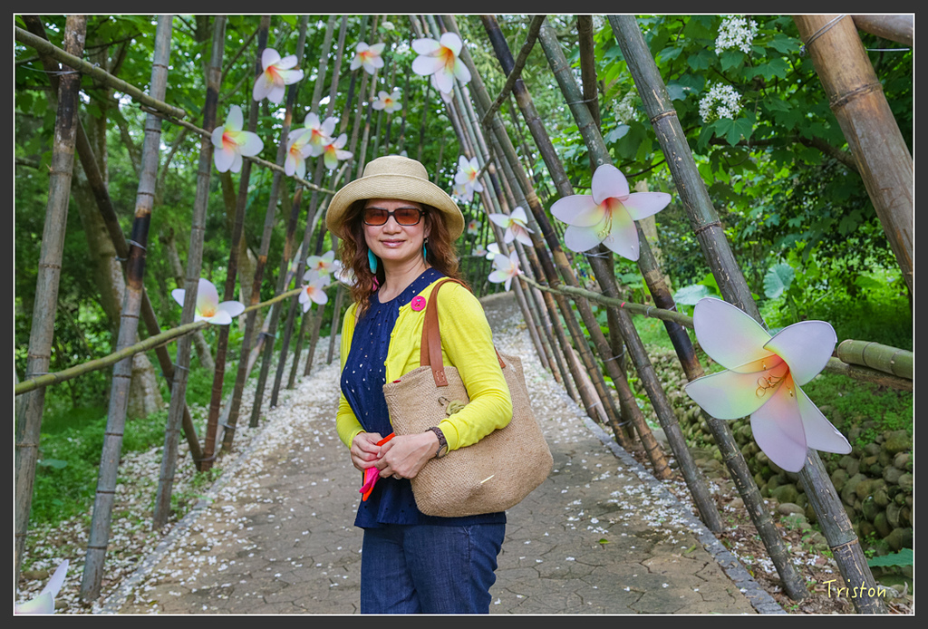JH1A8852.jpg - 20160426 銅鑼天空步道、天空之城、荷苞山