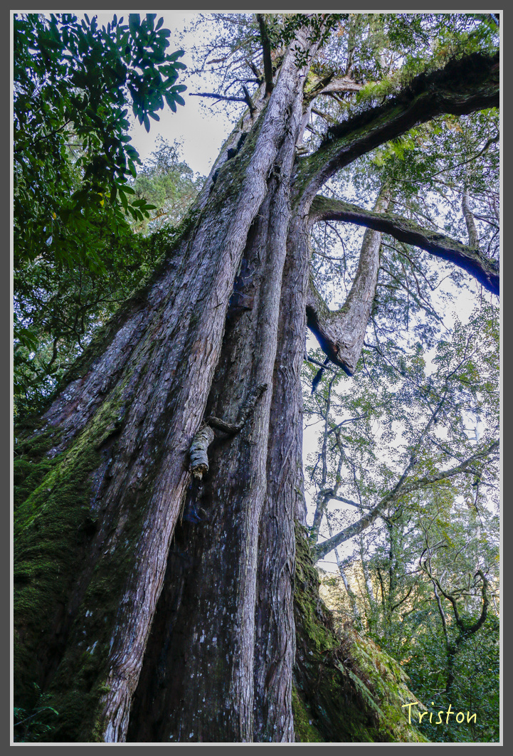 _MG_0244.jpg - 20161203 鎮西堡