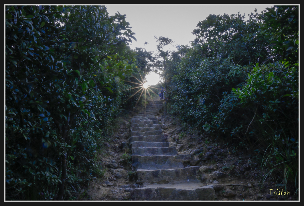 00121.jpg - 20170107 香港健行