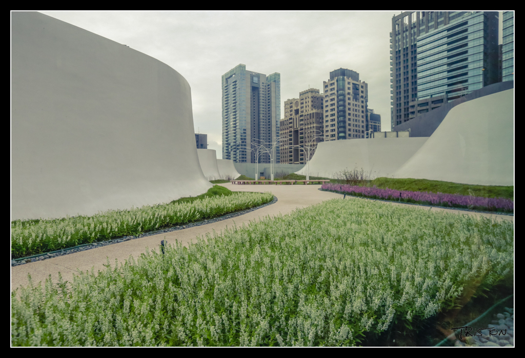 _H1A4300.jpg - 20170520 台中輕旅行-審記新村、忠信市場、國家歌劇院