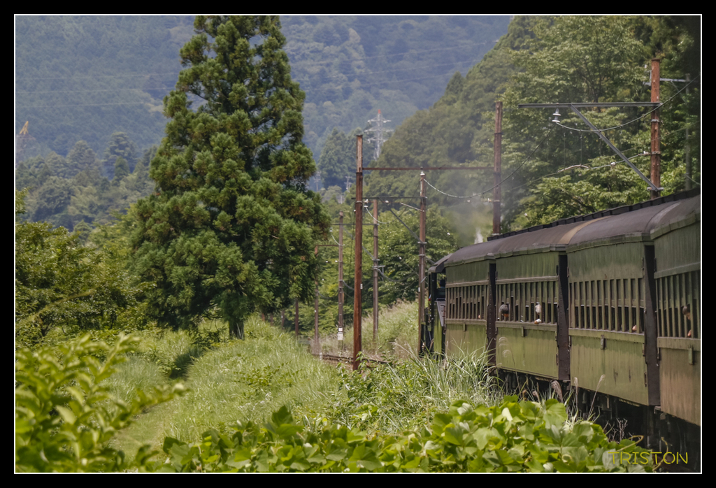 _MG_0369.jpg - 20170702 靜岡東海道之旅