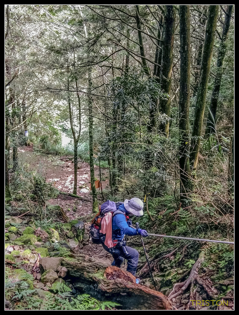 水漾森林難忘回憶_170725_0006.jpg - 20170723 水漾森林