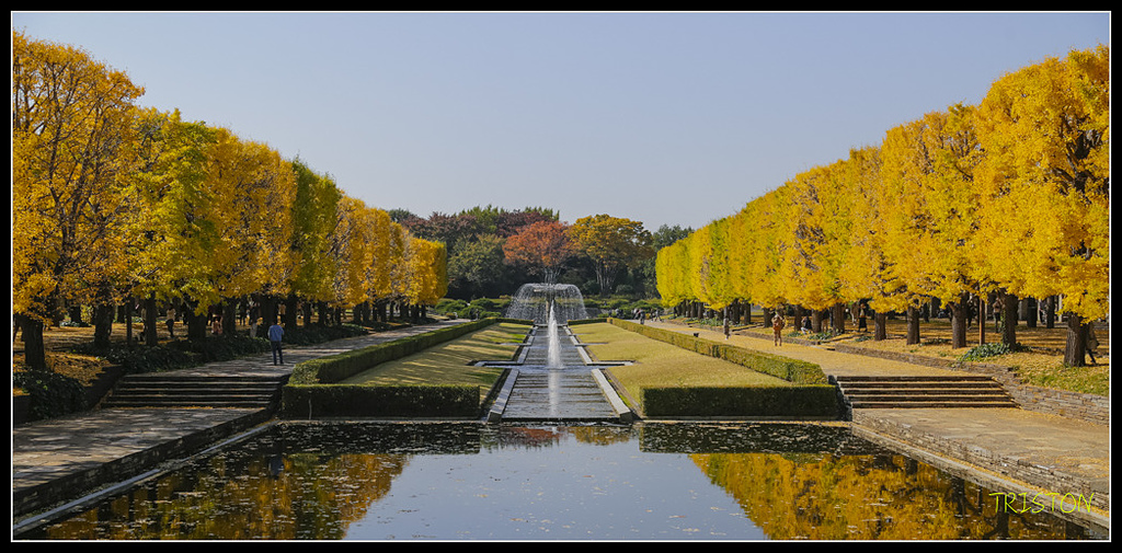 _H1A1825.jpg - 20171103 日本只見線、會津若松五色沼、昭和記念公園賞紅葉