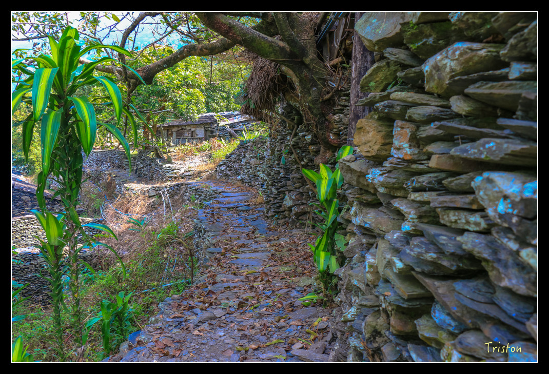 IMG_9556.jpg - 20151202 老七佳部落