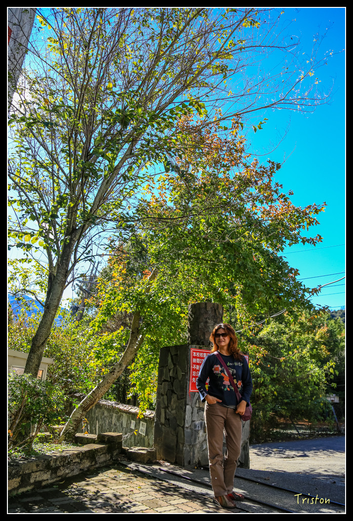 JH1A0527.jpg - 20151205 合歡溪步道、108K楓之谷