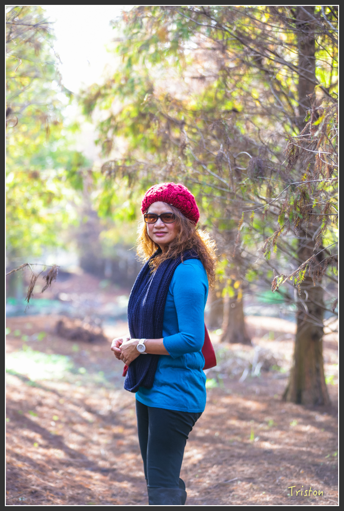 JH1A8021.jpg - 20160101 溪州落羽松 白水湖