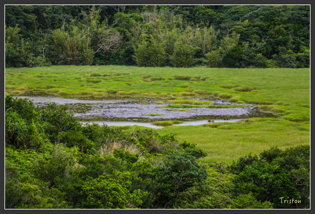 IMG_1460-2.jpg - 20160122 南仁湖、墾丁