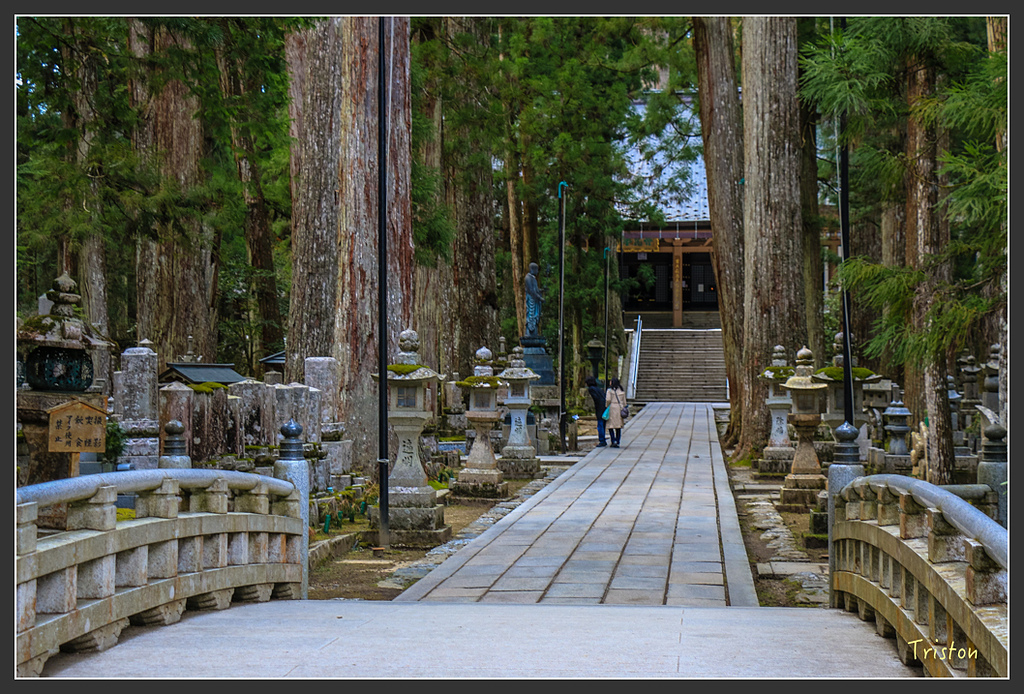 IMG_4602.jpg - 20160323 日本熊野古道健行