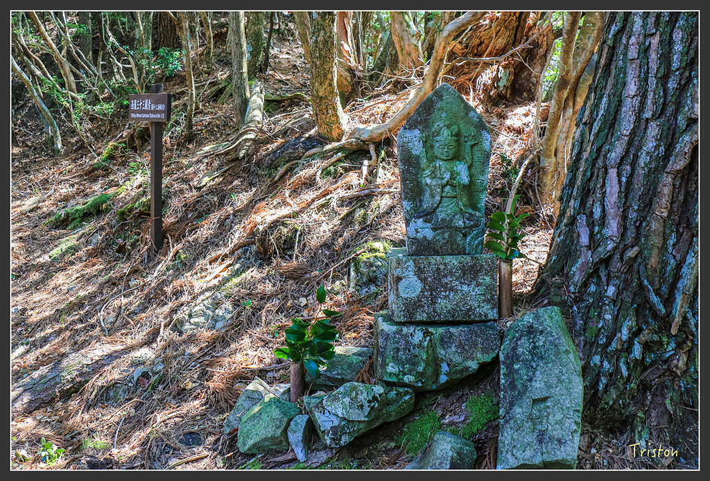 IMG_4762.jpg - 20160323 日本熊野古道健行