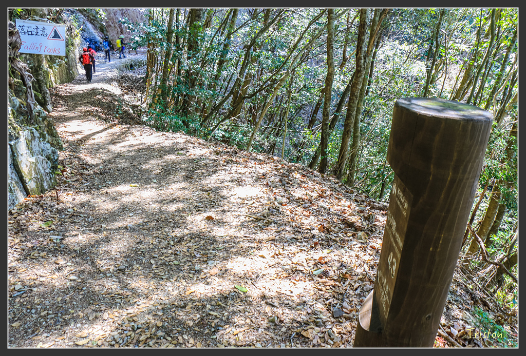 IMG_5099.jpg - 20160323 日本熊野古道健行