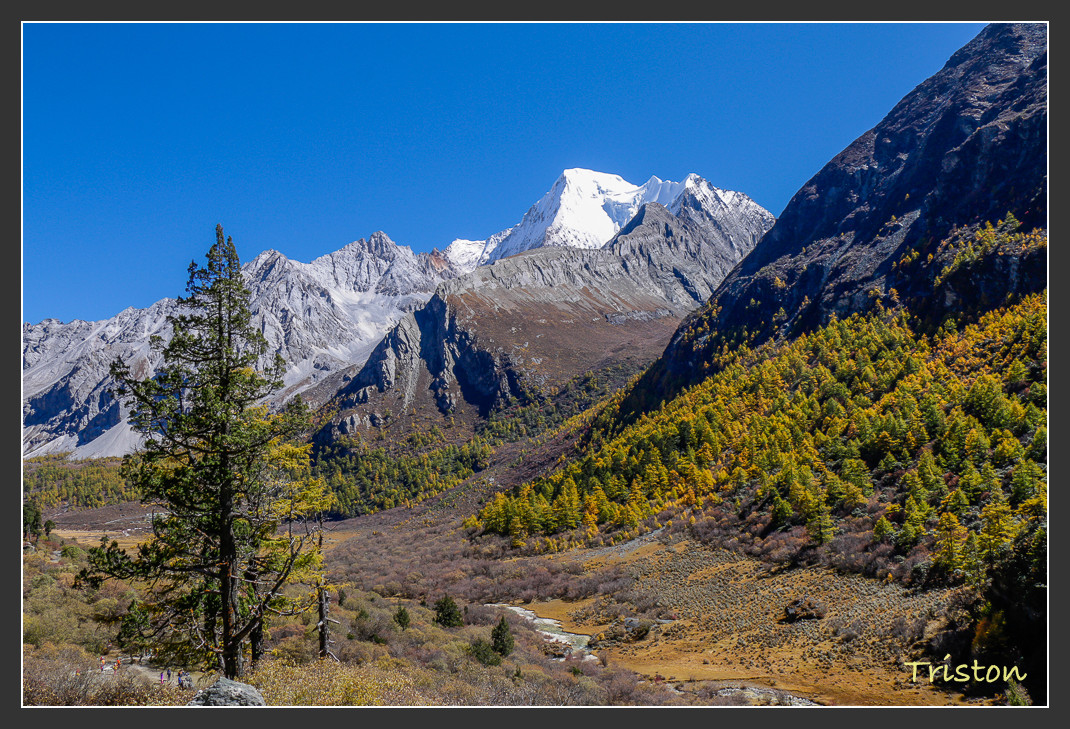 _MG_1742.jpg - 20161013 稻城亞丁