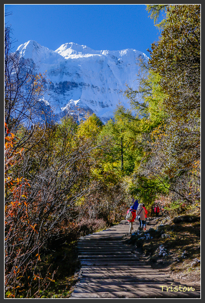 _MG_2038.jpg - 20161013 稻城亞丁