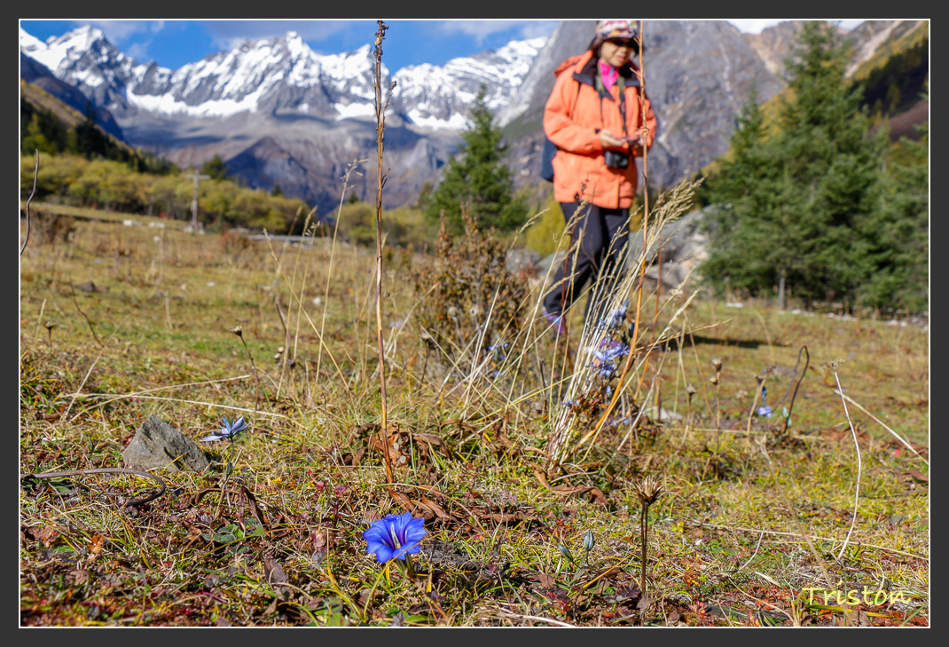 _MG_0710.jpg - 20161013 稻城亞丁