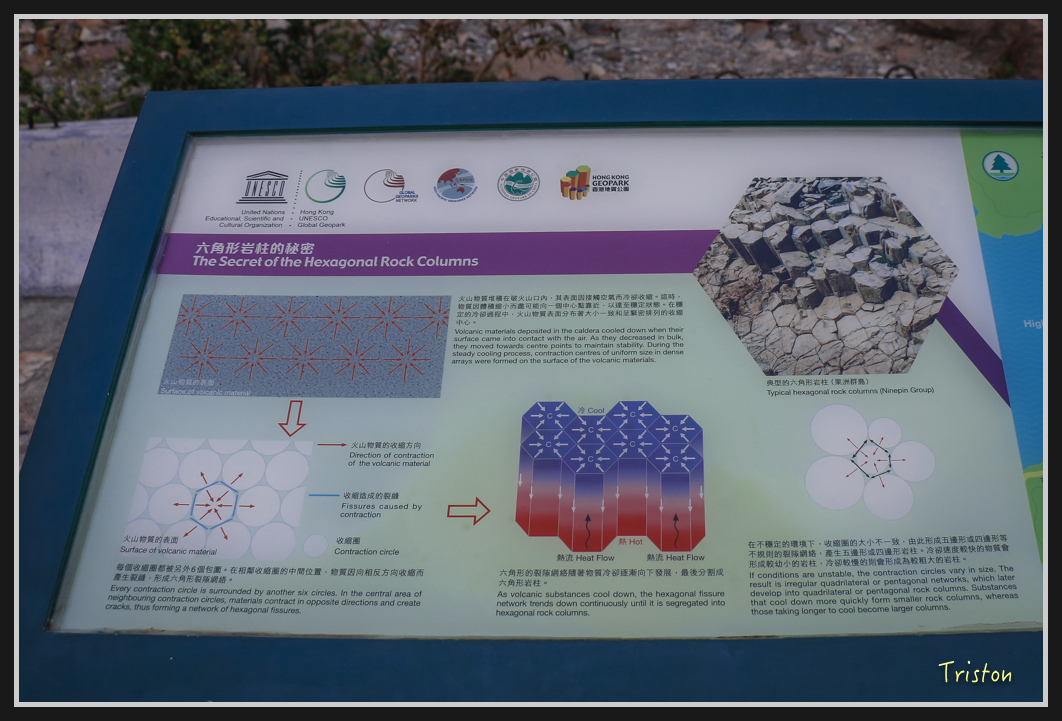 00293.jpg - 20170107 香港健行