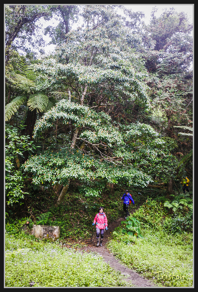2017-02-27 10.03.53 下午 _MG_0460.jpg - 20170225 玉里瓦拉米