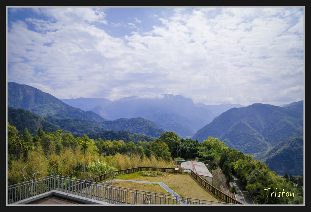 _H1A2503.jpg - 20170311 草嶺