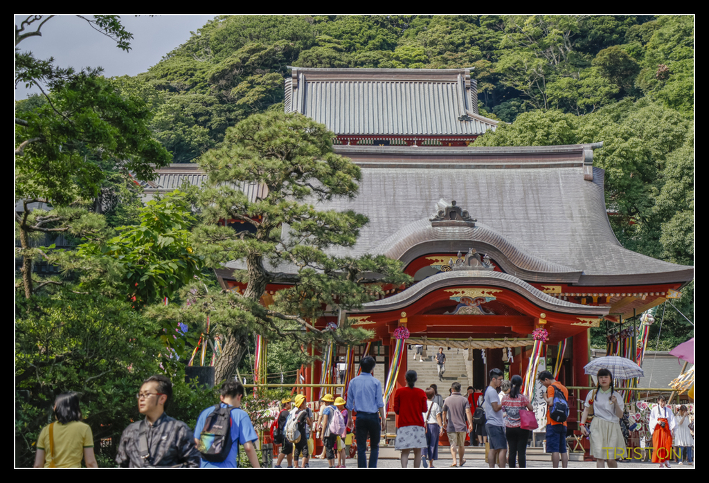 _MG_1607.jpg - 20170702 靜岡東海道之旅