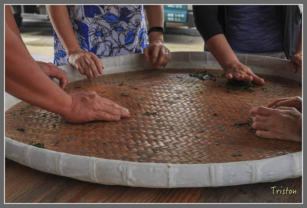 IMG_2219.jpg - 20180802 樂野山芙蓉揉茶,阿將咖啡的家