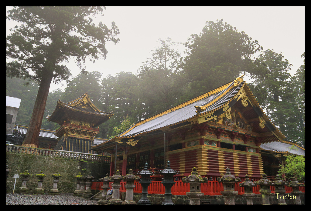 JH1A9983.jpg - 20150628 東京輕井澤日光