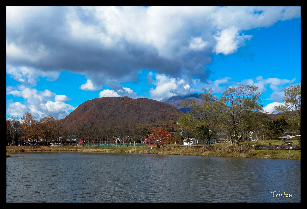 DSC00315.jpg - 20151031 秋天的童話-貴婦東京輕井澤紀行