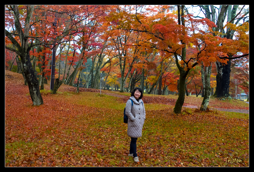 DSC00265.jpg - 20151031 秋天的童話-貴婦東京輕井澤紀行