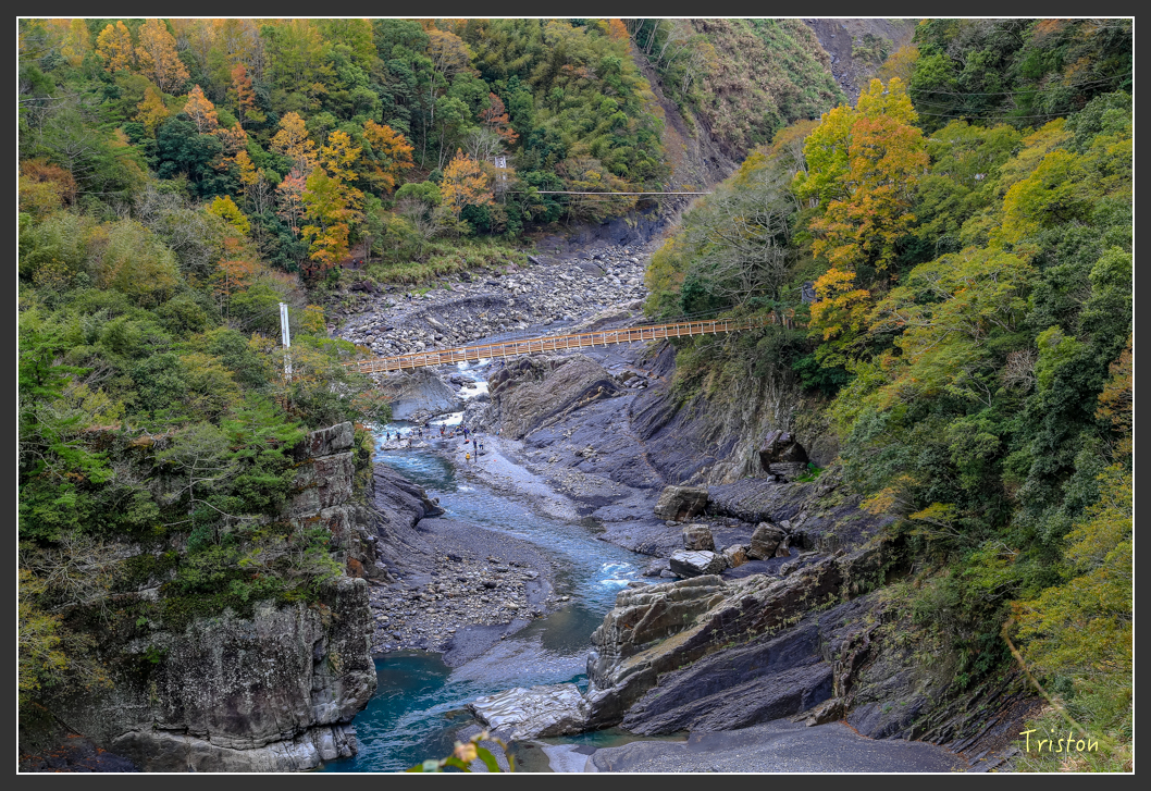 JH1A1459.jpg - 20151221 新竹秀巒賞楓