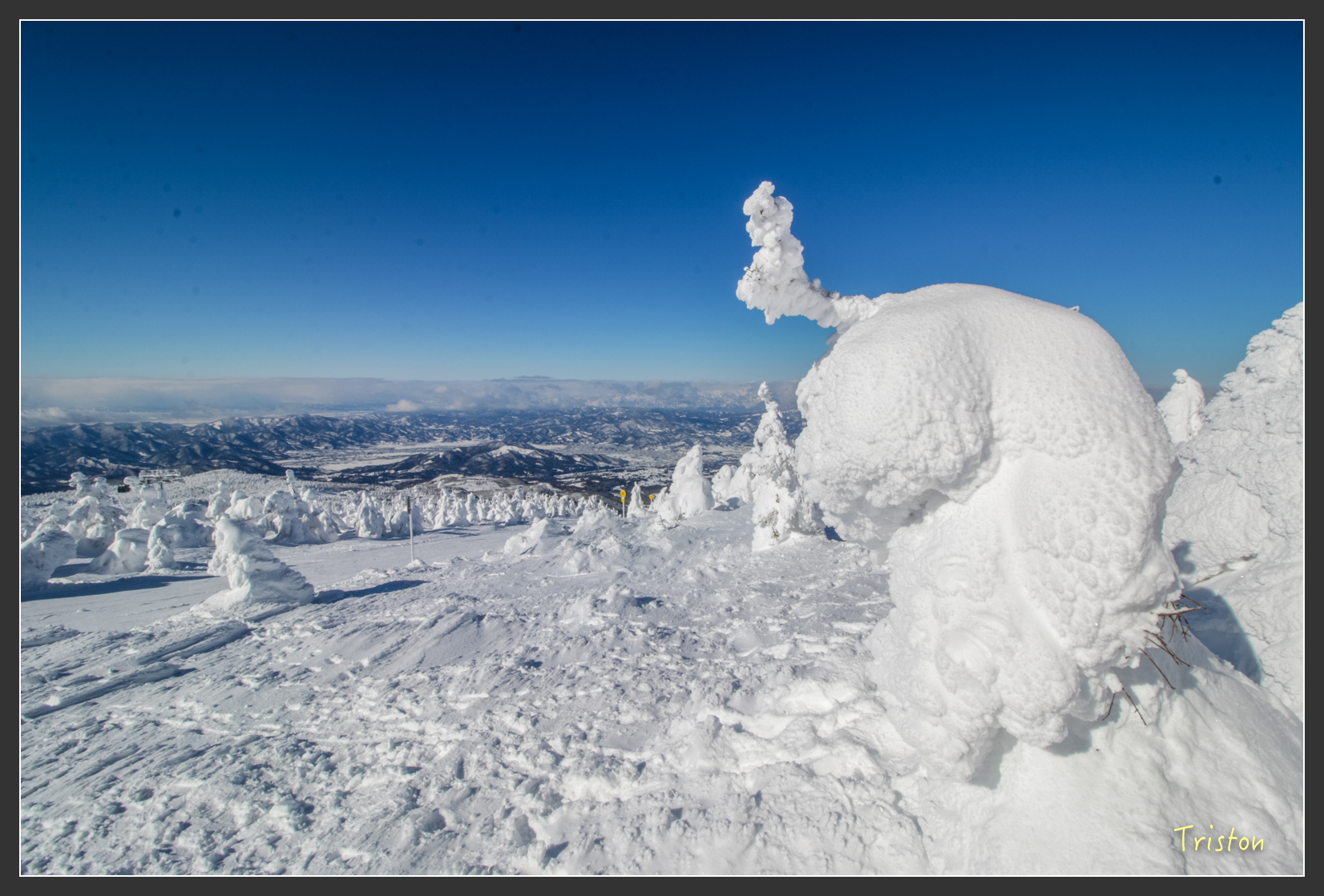 2016ZAO-01645.jpg - 20160131 日本藏王溫泉滑雪親子行