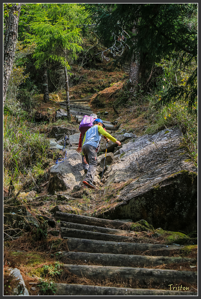 IMG_6228.jpg - 20160402 鹿林麟趾東埔山