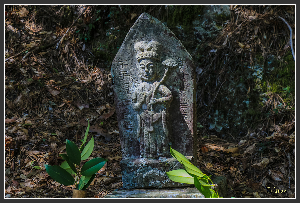 IMG_4788.jpg - 20160323 日本熊野古道健行