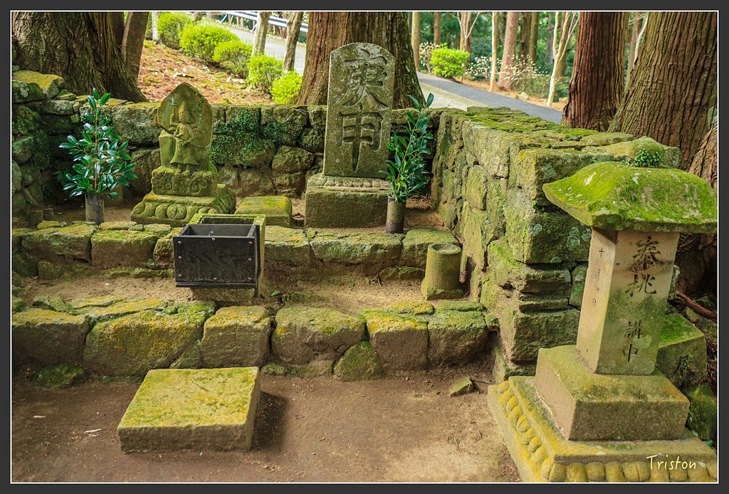 IMG_5685.jpg - 20160323 日本熊野古道健行