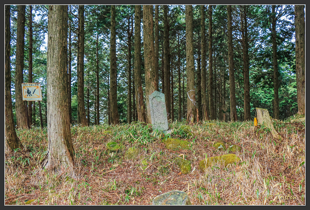 IMG_5556.jpg - 20160323 日本熊野古道健行