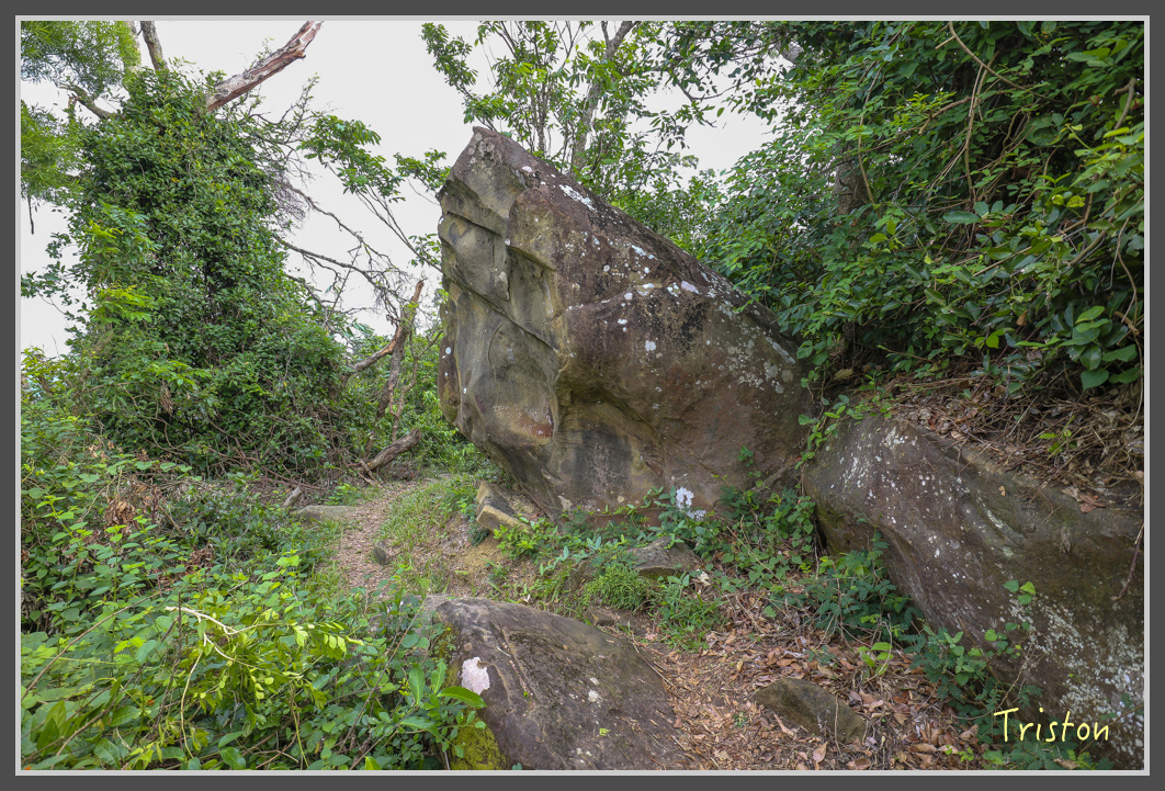 IMG_1946.jpg - 20161130 高雄旗尾山