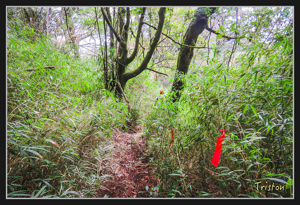 IMG_1432.jpg - 20170318 守關山、守城大山