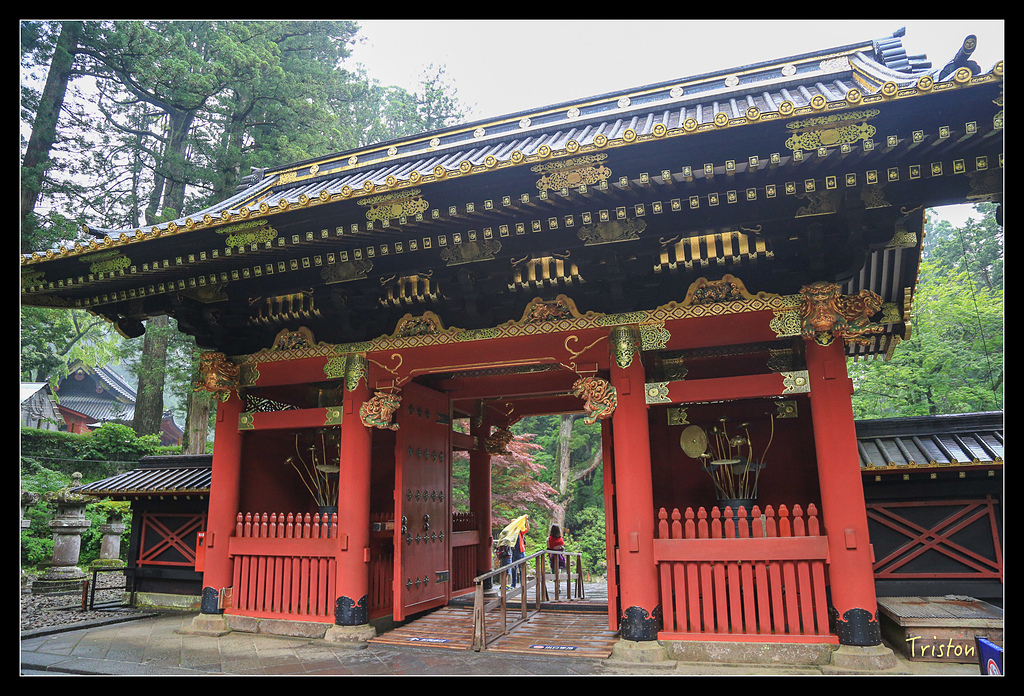 JH1A0002.jpg - 20150628 東京輕井澤日光