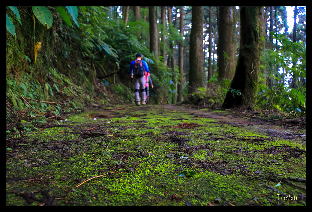 IMG_8369.jpg - 20150926 大凍山切霹靂山 抵龍雲山莊