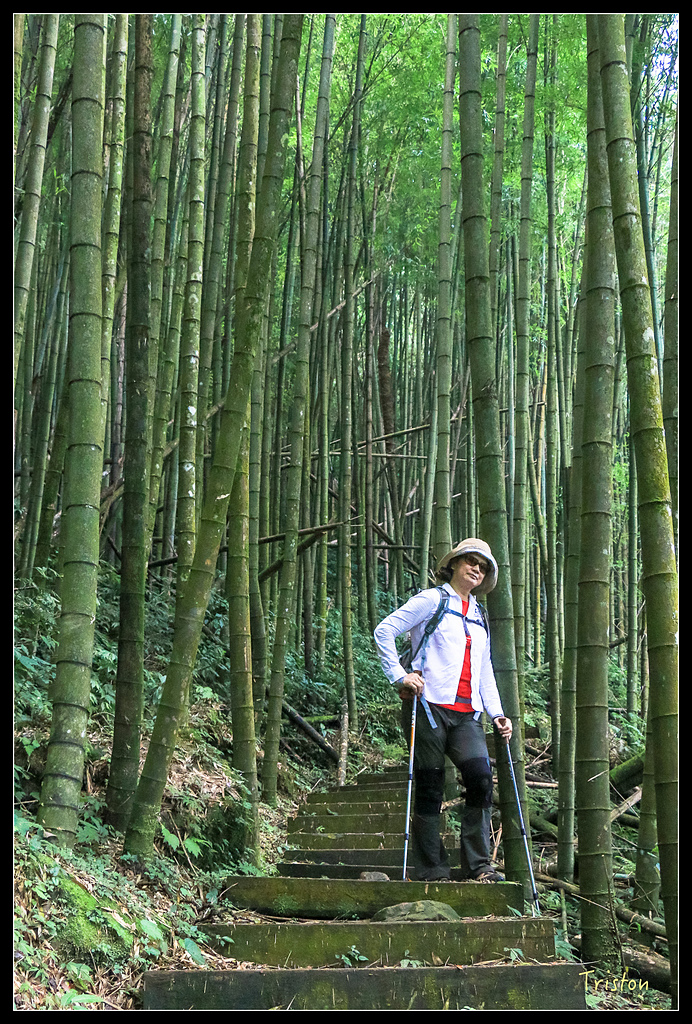 IMG_8342.jpg - 20150926 大凍山切霹靂山 抵龍雲山莊