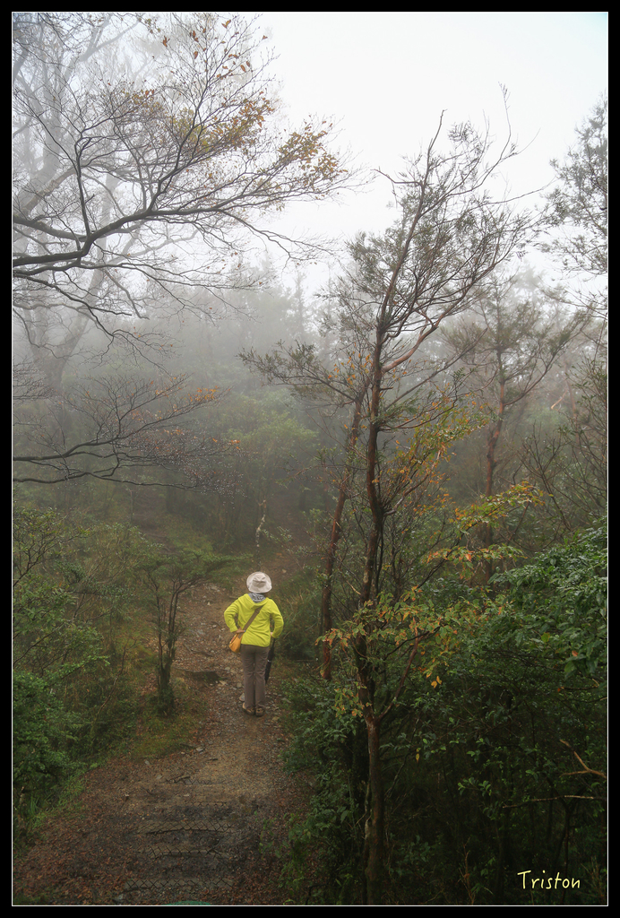JH1A0189.jpg - 20151024~25 幾米公園、翠峰湖、翠峰山屋、望洋山步道、山毛櫸步道