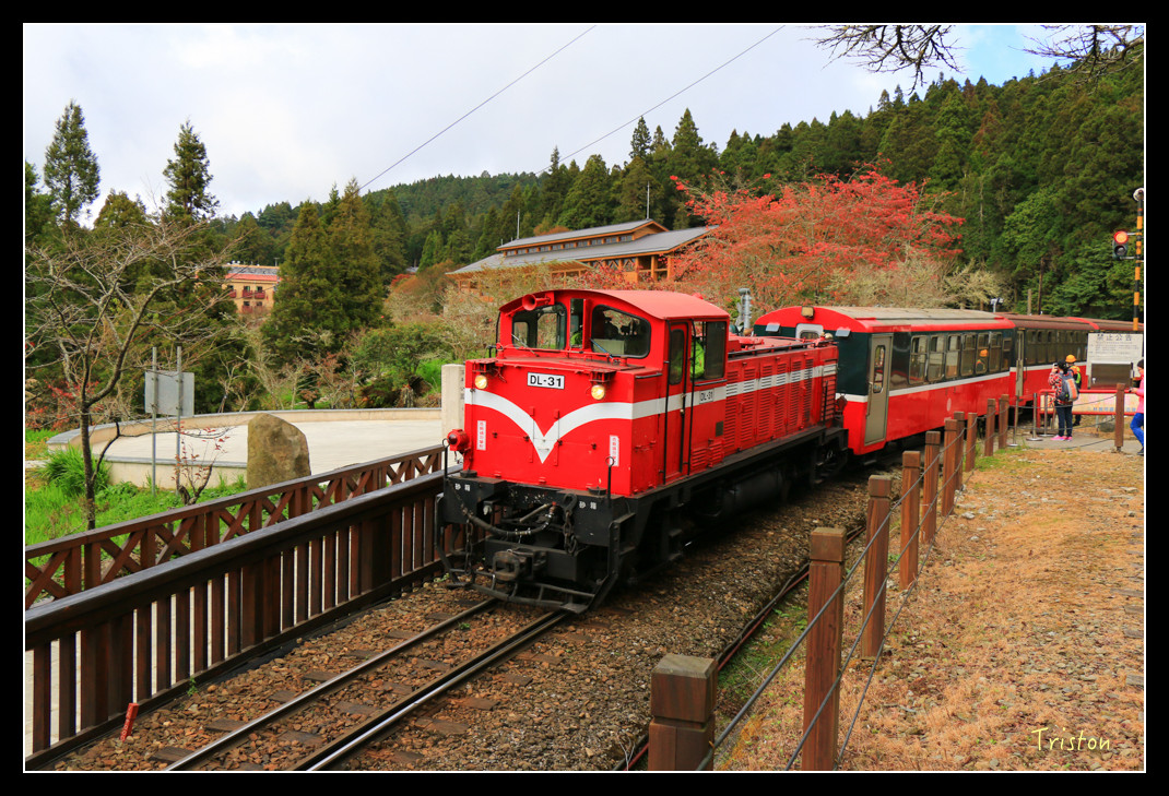 IMG_9422.jpg - 20151130 小笠原山、對高岳