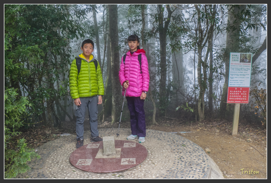 IMG_3438.jpg - 20160227 觀霧森林步道