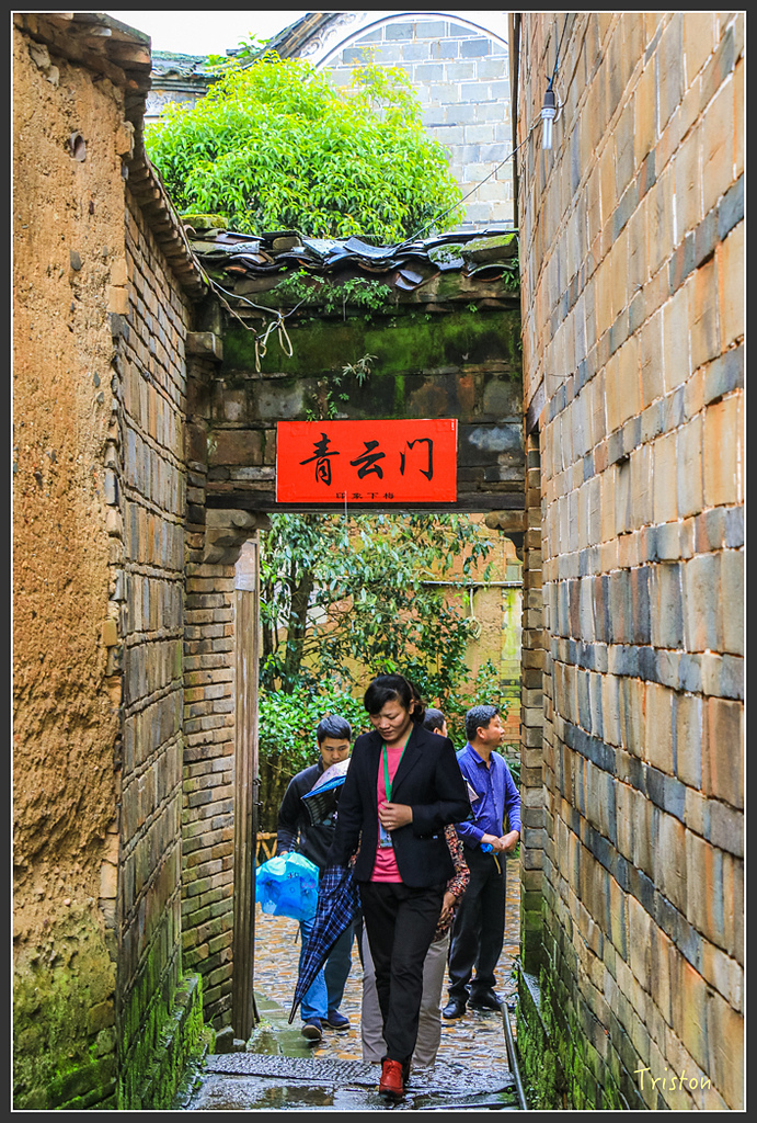 IMG_6602.jpg - 20160409 武夷山之旅