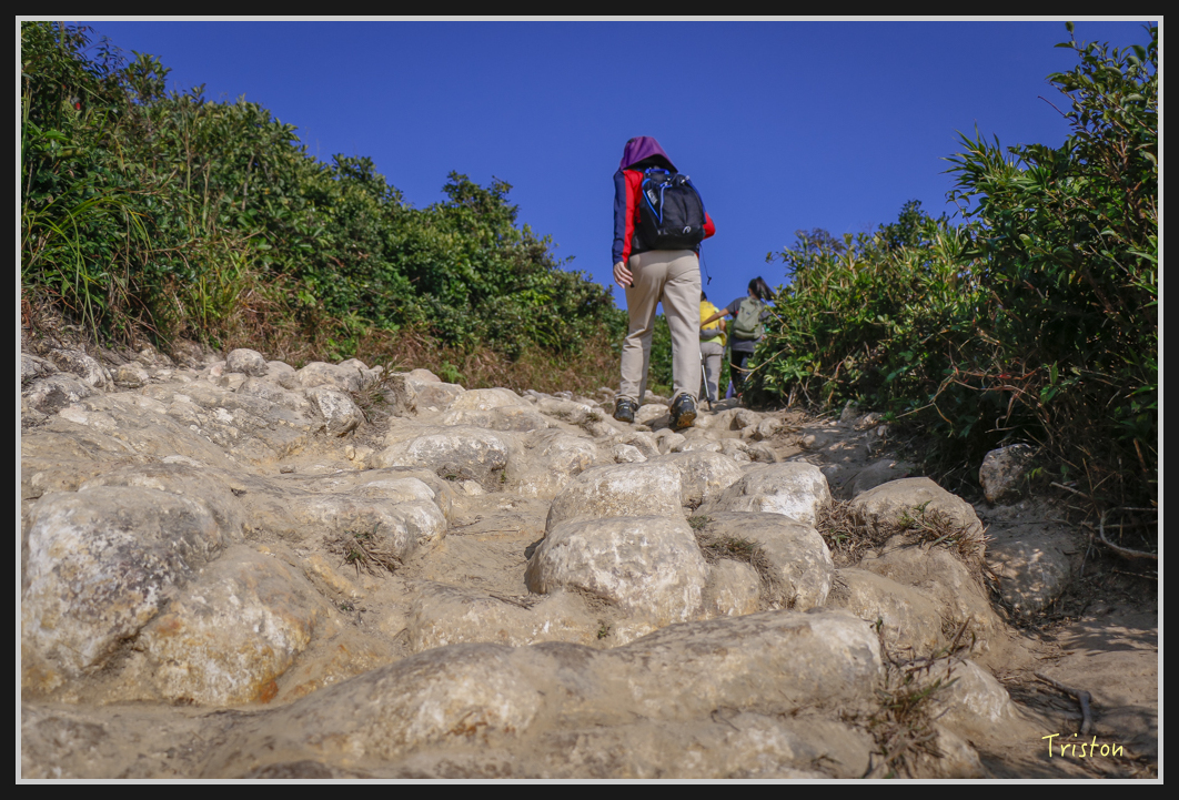 00137.jpg - 20170107 香港健行