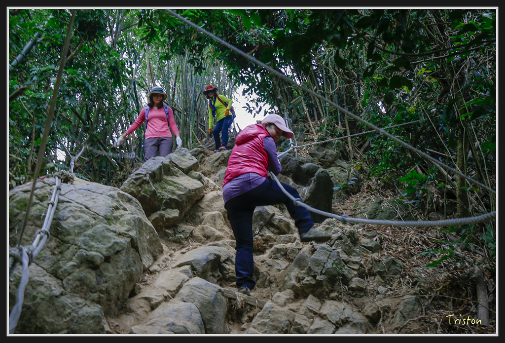 _MG_0621.jpg - 20170114 旗尾山