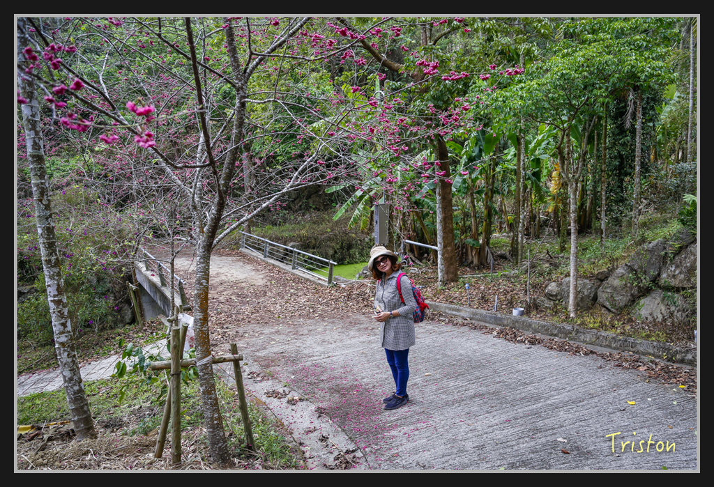 _H1A2522.jpg - 20170311 草嶺