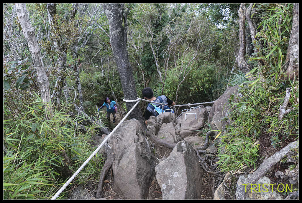 _MG_0128.jpg - 20170920 加里山