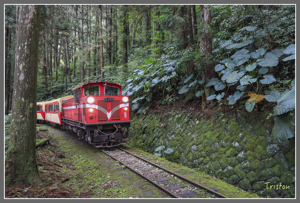 IMG_2153.jpg - 20180728 得恩亞納O形縱走